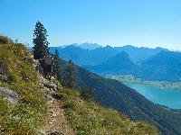Bild 6 (67 Bildaufrufe)