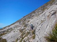 Bild 10 (70 Bildaufrufe)