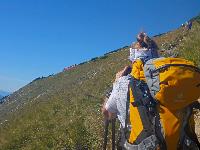 Bild 11 (68 Bildaufrufe)