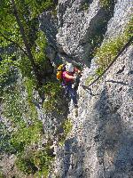 Bild 7 (74 Bildaufrufe)