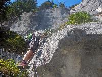 Bild 10 (67 Bildaufrufe)