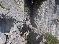 Bild 16 (76 Bildaufrufe)