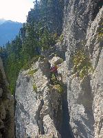 Bild 17 (70 Bildaufrufe)