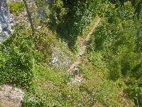 Bild 23 (65 Bildaufrufe)