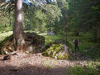 Hochtor, Zinödl (80 Bildaufrufe)