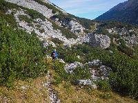 Bild 14 (107 Bildaufrufe)