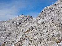 Bild 22 (98 Bildaufrufe)