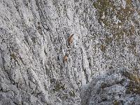 Bild 28 (92 Bildaufrufe)