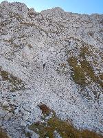 Bild 30 (88 Bildaufrufe)