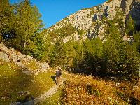 Bild 35 (82 Bildaufrufe)