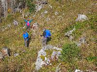 Bild 15 (79 Bildaufrufe)