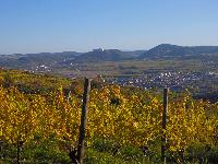 Bild 5 (40 Bildaufrufe)
