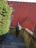 Bild 8 (42 Bildaufrufe)