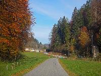 Bild 1 (61 Bildaufrufe)