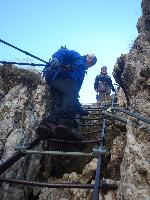 Bild 33 (79 Bildaufrufe)