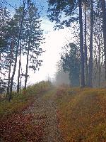 Bild 6 (66 Bildaufrufe)