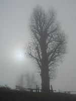 Bild 7 (66 Bildaufrufe)