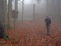 Bild 8 (74 Bildaufrufe)