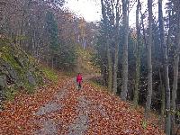 Bild 10 (47 Bildaufrufe)