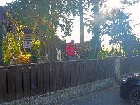 Bild 1 (62 Bildaufrufe)