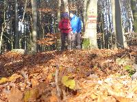 Bild 7 (64 Bildaufrufe)