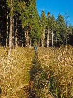 Bild 9 (74 Bildaufrufe)