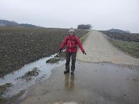 Bild 3 (49 Bildaufrufe)