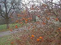 Bild 5 (48 Bildaufrufe)