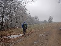 Bild 10 (55 Bildaufrufe)