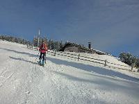 Bild 4 (93 Bildaufrufe)