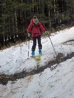 Bild 15 (81 Bildaufrufe)
