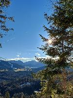 Bild 3 (61 Bildaufrufe)