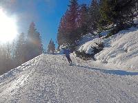 Bild 10 (61 Bildaufrufe)