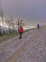 Brandleitenkogel (74 Bildaufrufe)