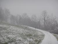 Brandleitenkogel (56 Bildaufrufe)