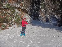 Bild 1 (74 Bildaufrufe)