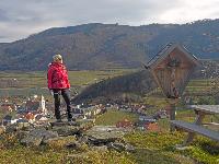 Bild 2 (78 Bildaufrufe)