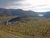 Bild 4 (66 Bildaufrufe)