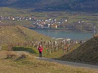 Bild 5 (71 Bildaufrufe)