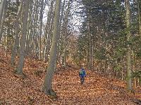 Bild 6 (66 Bildaufrufe)