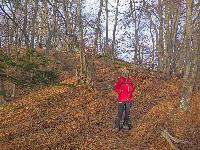 Bild 9 (59 Bildaufrufe)