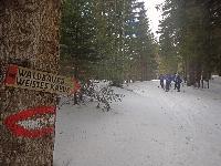 Bild 1 (57 Bildaufrufe)