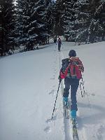 Bild 4 (64 Bildaufrufe)