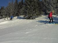 Bild 9 (65 Bildaufrufe)