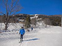 Bild 13 (64 Bildaufrufe)