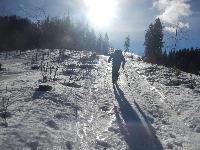 Bild 1 (75 Bildaufrufe)