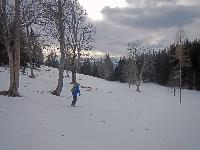 Bild 16 (84 Bildaufrufe)