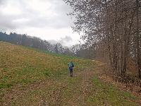 Bild 2 (49 Bildaufrufe)