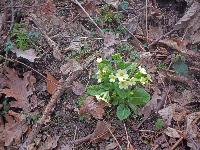 Bild 11 (48 Bildaufrufe)
