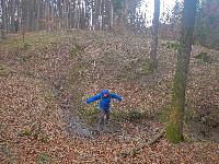Bild 12 (49 Bildaufrufe)